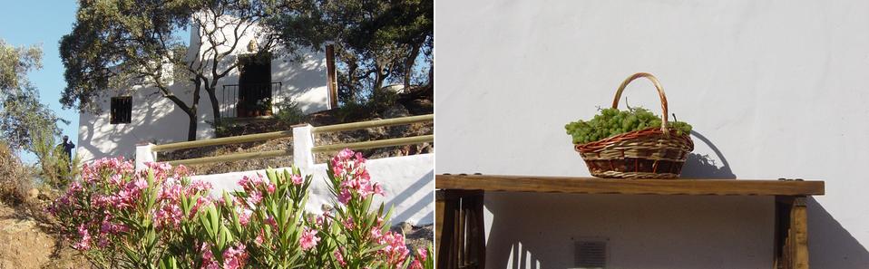 Onze twee gerestaureerde oude Andalusische huisjes aan een biologische boerderij in de buurt van Almoga