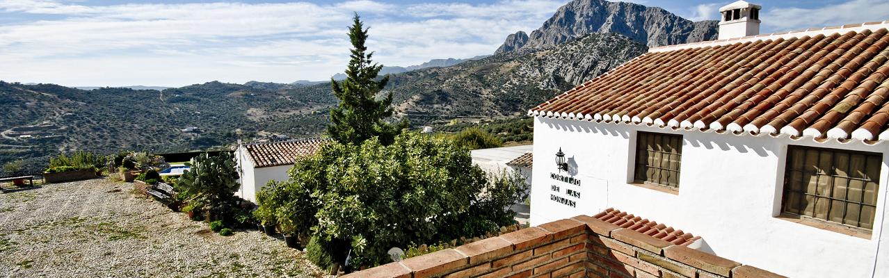Our six lovely apartments for 1-3 persons in a restored Andalusian farmhouse with views to the Viuela lake