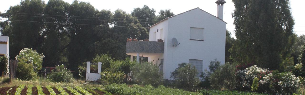 Our secluded country house with beautiful surroundings in the valley near Vejer de la Frontera