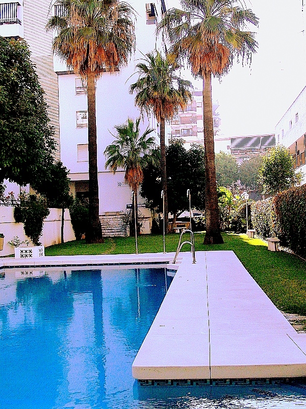 Our Beautiful Apartment with Pool in the City Center of Marbella